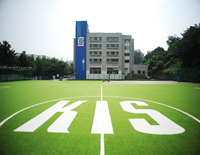 학교 사진